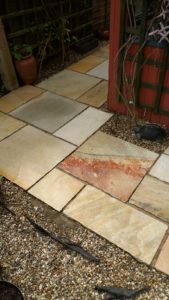 Sandstone Patio Completed Cambridge